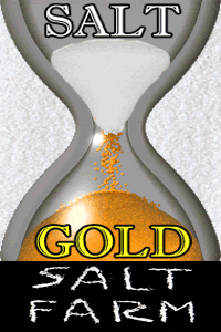Проект - ферма соли